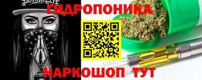 спиды Кингисепп