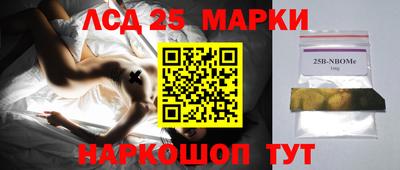 спиды Кингисепп