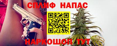 спиды Кингисепп