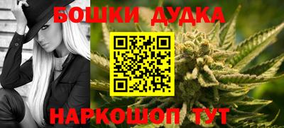 спиды Кингисепп