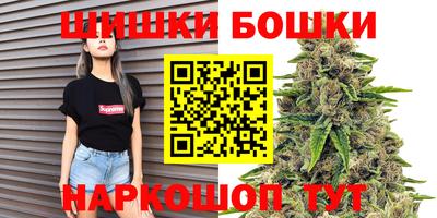 спиды Кингисепп