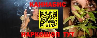 спиды Кингисепп
