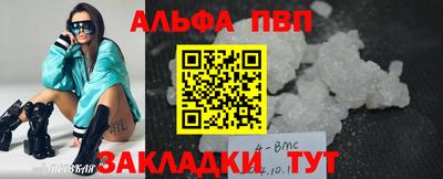 спиды Кингисепп