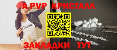 спиды Кингисепп