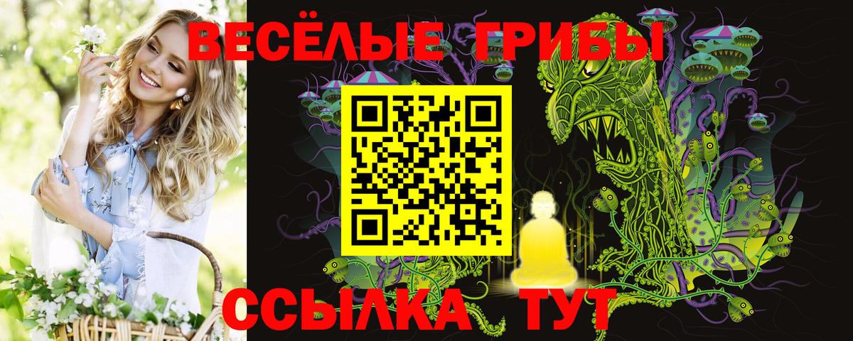 Галлюциногенные грибы Cubensis  Галлюциногенные грибы GOLDEN TEACHER  Кубинка  Вход с VPN 